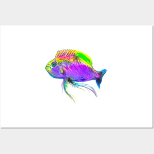 Colorful Neon Fish Posters and Art